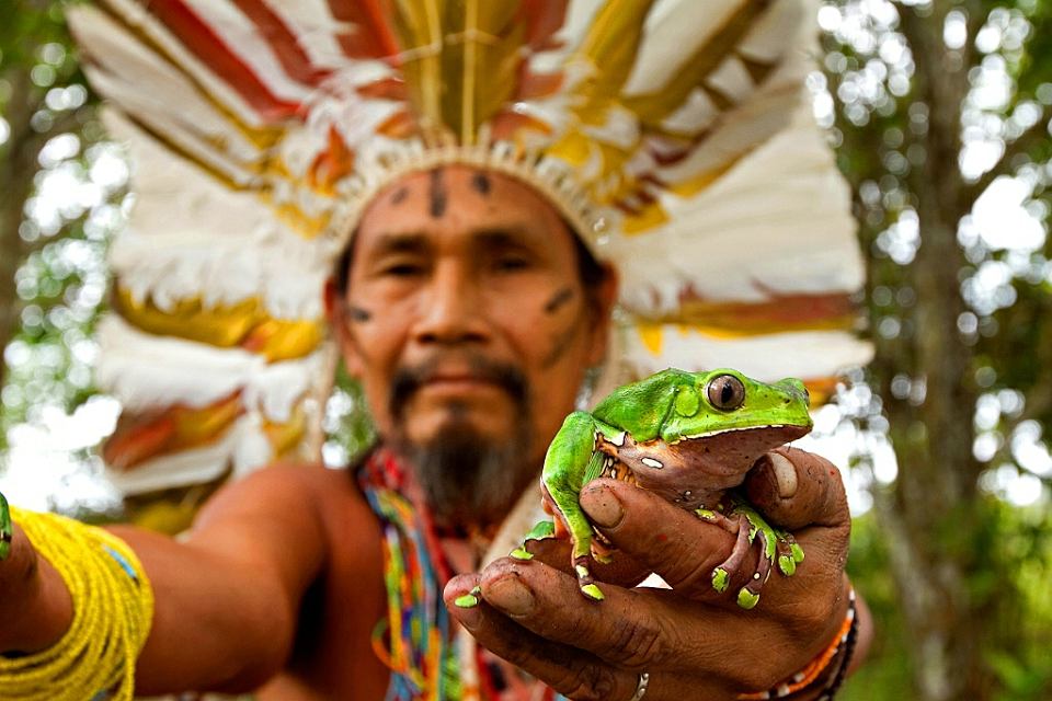 Kambo Ceremony