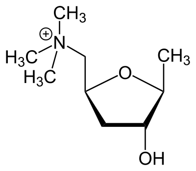 Muscarine molecule