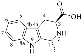 MTCA molecule