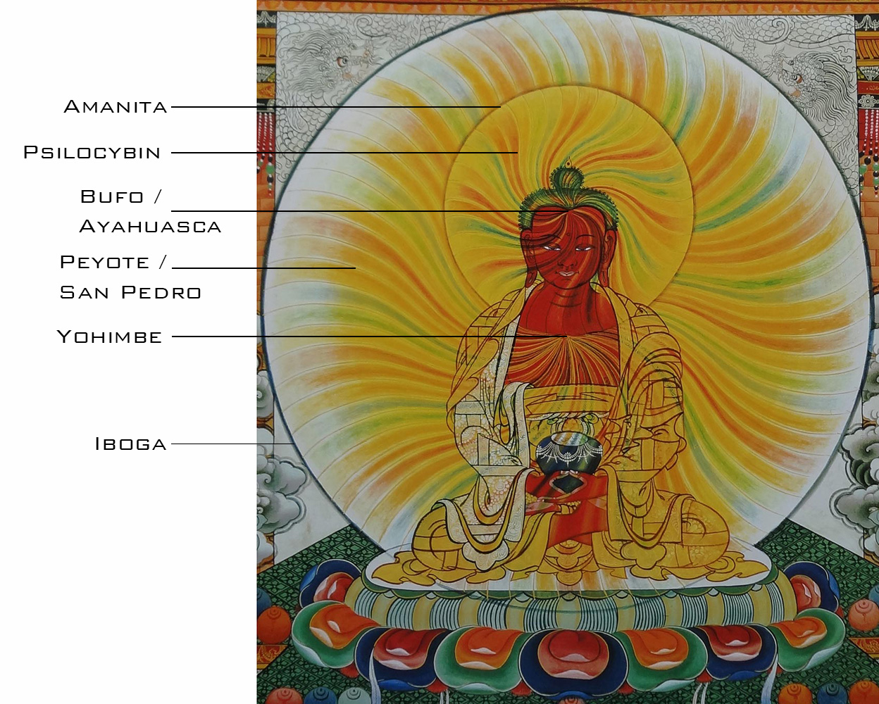 Plant Medicine Energy Representation