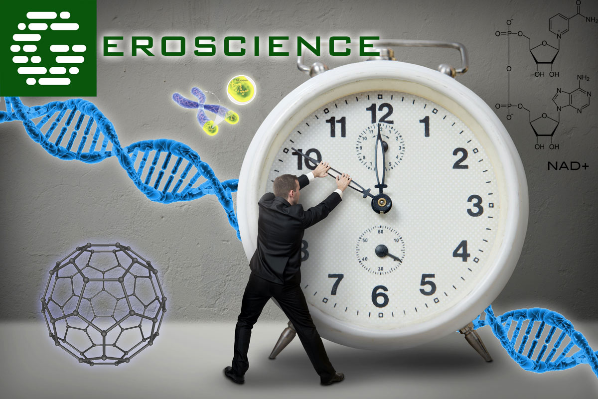 Geroscience
