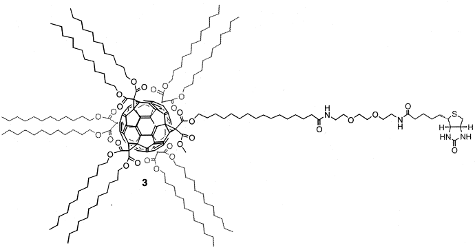LipoFullerene